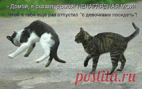 Интересные новости