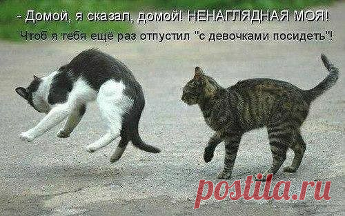 Интересные новости