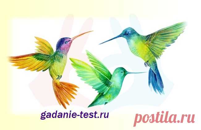Тест личности - Выберите птицу | СЕКРЕТ | Тесты Тест личности - Выберите птицу и узнайте, как это охарактеризует вас. Время от времени полезно анализировать черты своего характера, свою