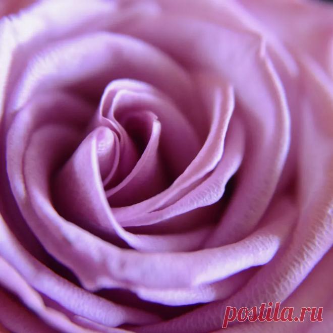 Fotovidyal — Wibes #ilaronsia #ruazfil