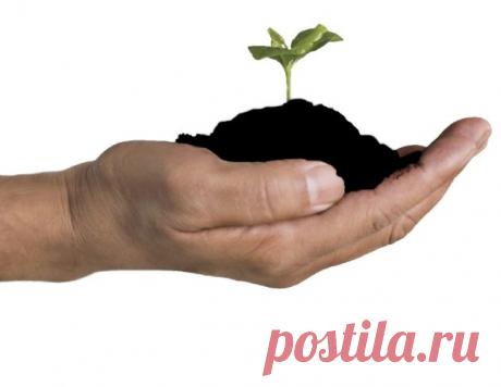 (+1) тема - Удобрение биогумус: использование и нормы внесения | 6 соток