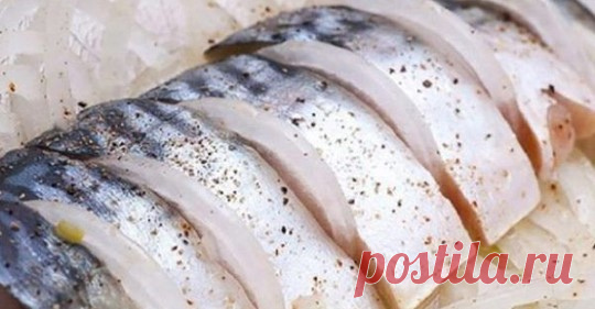 Соленая скумбрия. Быстрый рецепт для дома