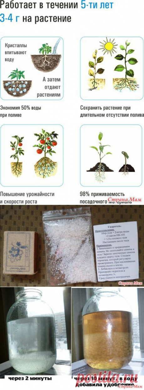 ОПЯТЬ ПРО ГИДРОГЕЛЬ | Самоцветик