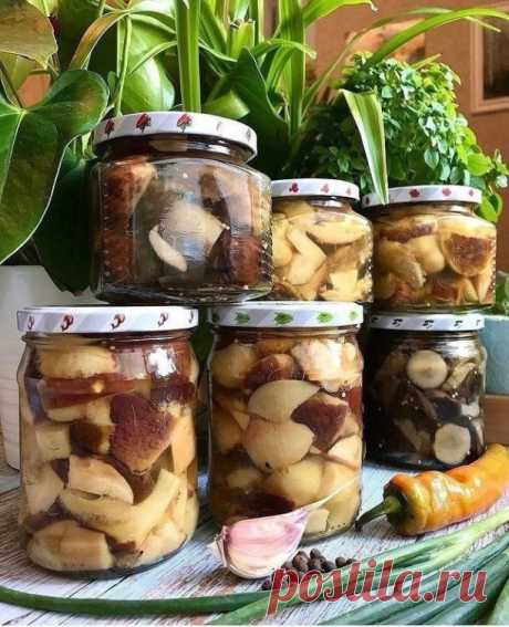 Маринованные грибы!
Девочки, знаю, вы любите вкусняшки, поэтому делюсь своим рецептом чудесных маринованных грибочков! 

Сначала собираем свежие грибы и даем им хороший отвар. Потом нарезаем их по своему вкусу – можно кубиками, можно ломтиками, как больше нравится. Этот рецепт рассчитан на 1 литр отварных грибов, но выкладывайте столько, сколько вам нужно. Прекрасно будет в банке объемом литр, так легко мерить!