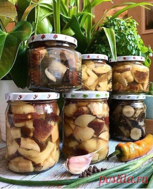 Маринованные грибы!
Девочки, знаю, вы любите вкусняшки, поэтому делюсь своим рецептом чудесных маринованных грибочков! 

Сначала собираем свежие грибы и даем им хороший отвар. Потом нарезаем их по своему вкусу – можно кубиками, можно ломтиками, как больше нравится. Этот рецепт рассчитан на 1 литр отварных грибов, но выкладывайте столько, сколько вам нужно. Прекрасно будет в банке объемом литр, так легко мерить!