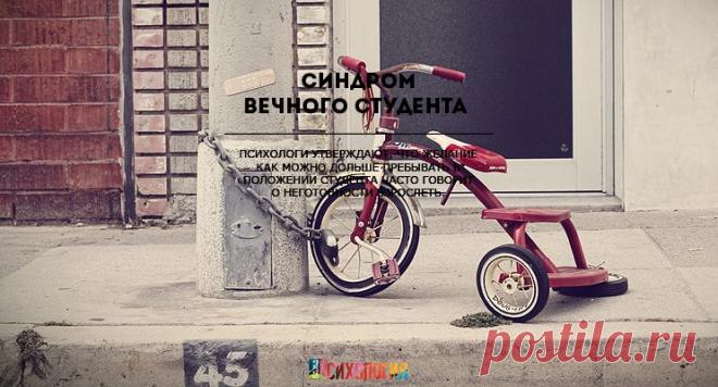 Синдром вечного студента | Среда обитания | Наша Психология