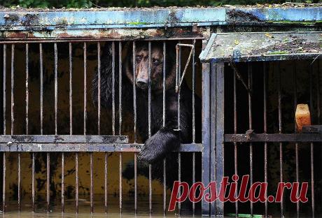 Лучшие фото «Самой красивой страны»