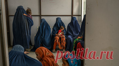 Khaama press: талибы запретили женщинам без бурок посещать госучреждения. Управление Министерства поощрения добродетели и предотвращения порока провинции Герат (Афганистан) издало распоряжение, запрещающее женщинам без бурок посещать больницы и прочие госучреждения. Читать далее