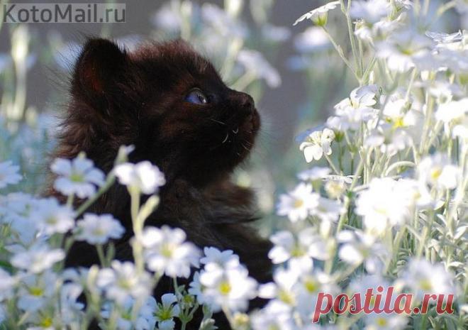 Чудеса да и только!