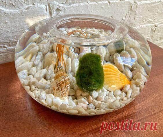 Миниатюрный аквариум как элемент декора ~ Planetalsad