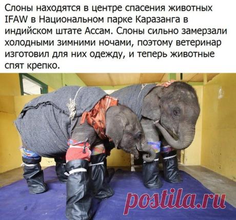 Самое Интересное Сообщество | СИС