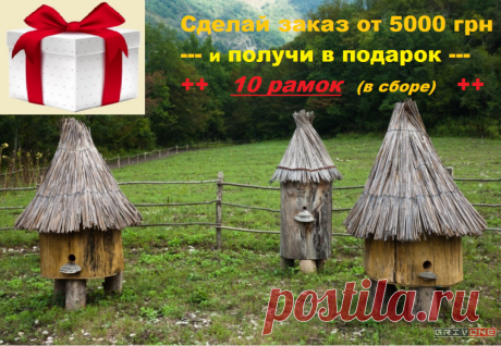 Вулик, улей для пчел, купить улья, мед, пасека, рамки УЛЬЯ ДЛЯ ПАСЕКИ
- улей "Дадан" - от 500 грн до 1600 грн (10 и 12 рамочные)
- улей "Лежак": от 910 грн до 1040 грн
 ~ под рамку "Украинская" -...
