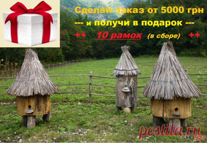 Вулик, улей для пчел, купить улья, мед, пасека, рамки УЛЬЯ ДЛЯ ПАСЕКИ
- улей 