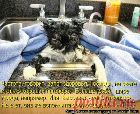 Котоматрица: Круть