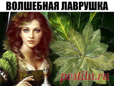 (48) Одноклассники