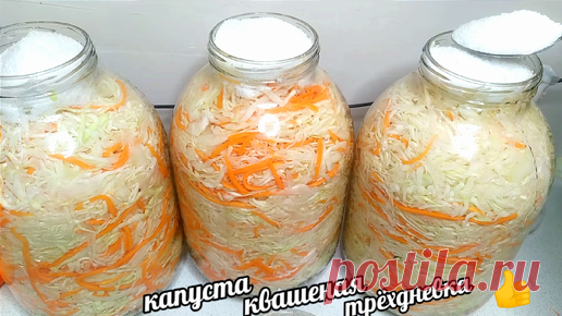 20 лет мариную #Капусту только так, все от неё без ума! Самый простой и самый вкусный рецепт Капусты на зиму! | КАМЧАТНИКОВА ТАТЬЯНА | Дзен