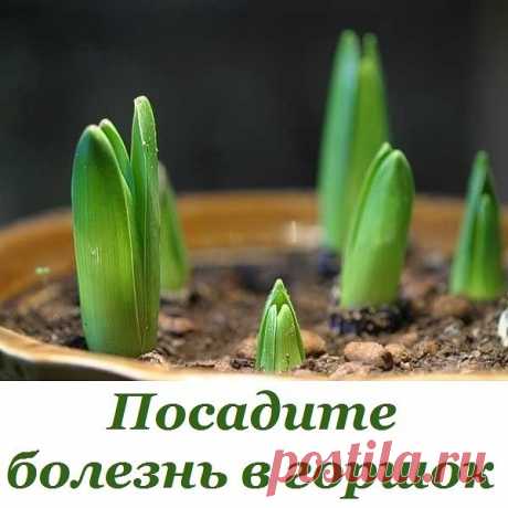 (99+) Одноклассники