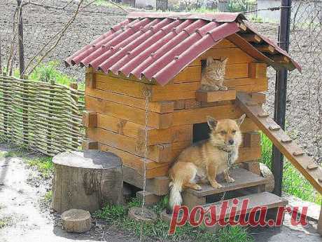 Google+