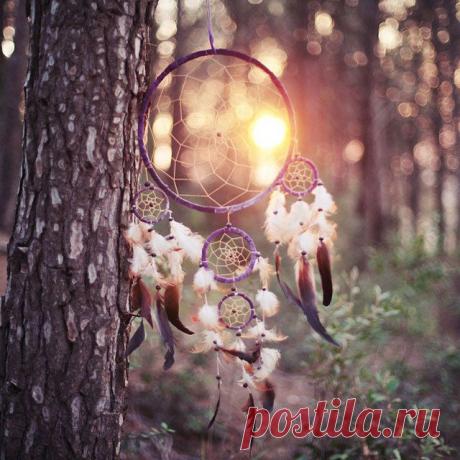 Ловцы снов | Женские страсти