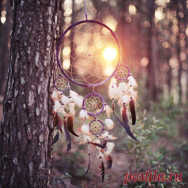 Ловцы снов | Женские страсти