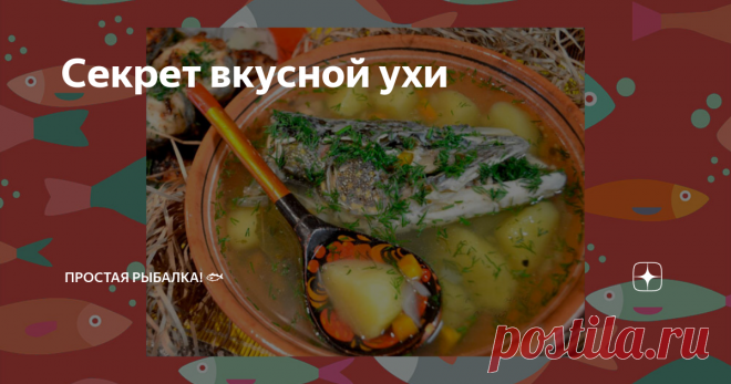 Секрет вкусной ухи Уха – главное блюдо всех любителей рыбалки. Рыбаки готовят ее на костре из только что выловленной рыбы. Но дома можно приготовить не менее вкусную уху.
Какую рыбу выбрать для вкусной ухи?
Для приготовления этого блюда чаще всего используют пресноводную рыбу, но морская рыба тоже отлично подойдет. Все это дело вкуса.
Только категорически не советуем готовить уху из плотвы, леща, пескарей. Не