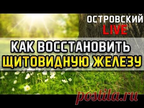 КАК ВОССТАНОВИТЬ ЩИТОВИДНУЮ ЖЕЛЕЗУ! Островский Live. Зоб, гипертиреоз, бессонница, невроз, щитовидка