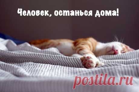 - Я С ВАМИ НЕ ИДУ Многим очень тяжело произнести эту фразу. В пятницу вечером ваша компания хочет сходить в кино на новый блокбастер. Подруга ищет, с кем пойти на вечеринку. Коллеги после работы организуют еще одну вылазку к стойке с глинтвейном. Это отличные возможности для поддержания контактов и дружеских отношений. Но иногда возникает ощущение, что с вас уже хватит, что вам нужен отдых в конце рабочего дня, что голова забита многими вещами и хочется просто немного посидеть дома на диване,…