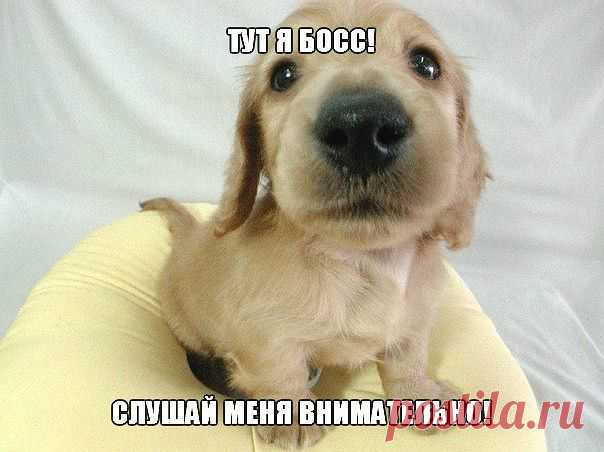 ♥♥Житейская мудрость ♥♥