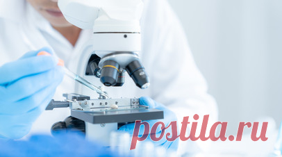 В России инициировали создание этического «кодекса бессмертия». Российские учёные инициировали разработку первого в мире этического кодекса для геропротекторов — препаратов, направленных на замедление старения. Инициатива призвана запустить широкую дискуссию среди учёных, юристов, философов, политиков и общественности — как в России, так и за рубежом. Читать далее