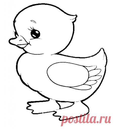 Картинка раскраска утенок