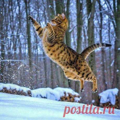 Прыжок в никуда