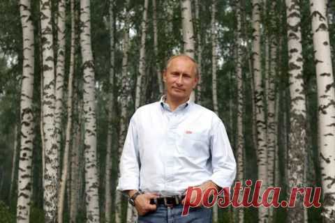 Россию гнуть не надо. Мы не ломаемся... | Ваше мнение