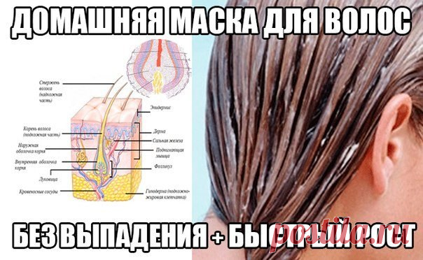 Сохранённые фотографии | 7 593 фотографии