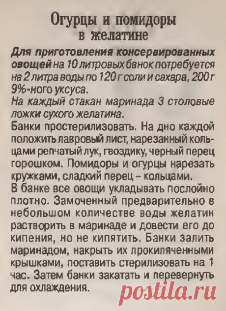 Огурцы и помидоры в желатине