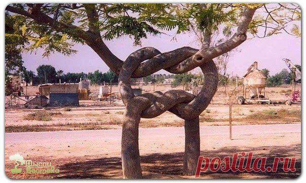 Отношения ради отношений.

Представьте себе машину. Обычную, четырехколесную, легковую. Ее придумали и изготовили для того, чтобы быстро и комфортно перемещать владельца туда, куда ему потребуется. Она красивая и удобная. Не самая крутая, но и не запорожец какой-нибудь. Вы давно мечтали о своей машине, и вот она стоит у вас под окнами.

Вы счастливы — прокатили на ней всех друзей, похвастались одним, позавидовали другим