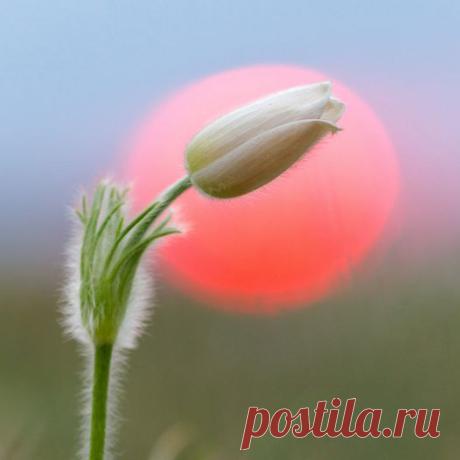 утреннее