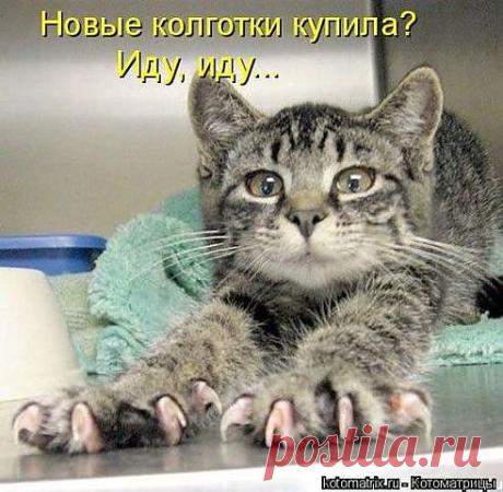 helena-ple — «20723_900.jpg» на Яндекс.Фотках