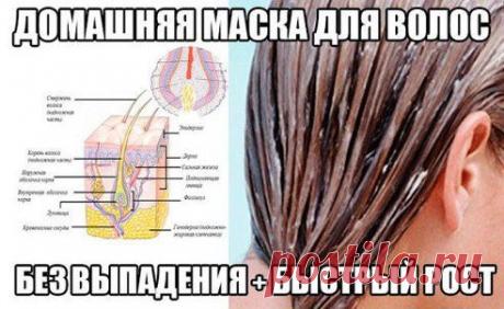 ШИКАРНЫЕ ВОЛОСЫ (РЕЗУЛЬТАТ ЧЕРЕЗ 5 ДНЕЙ!)

О, эта вечная проблема с волосами, то они жирные, то сухие или - вдруг секутся кончики, хуже может быть только периодическое выпадения и так прихотливых волос - это так знакомо всем нам!

Рецепты домашних масочек, помогут решить эту пооблему!

Записывайте!!

 №1:

- 1 желток яйца 
- 2 столовые ложки оливкового масла 
- 2 чайные ложки сахарного песка
Продолжение - ok.ru/real.women
•••