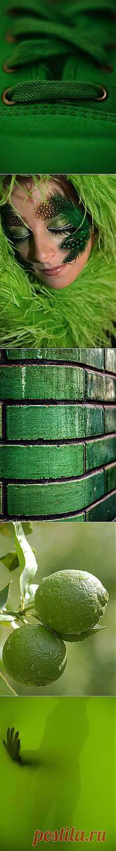 green web | Windows to the Soul