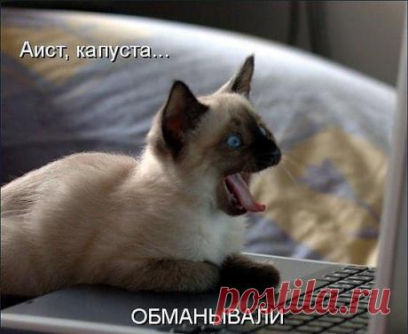 обманывали!
