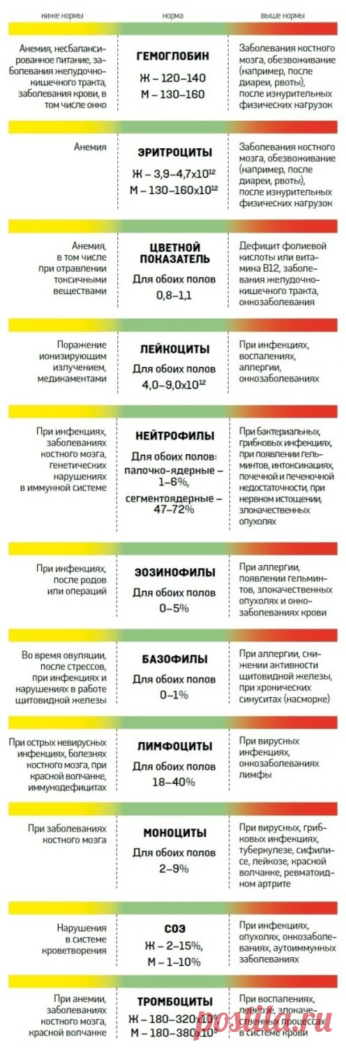 О чем расскажет анализ крови - Новости Украины - From-UA