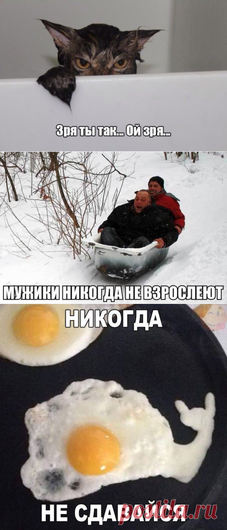 Весёлые картинки с надписями