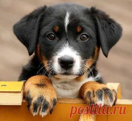 ღ Доброе утро, друзья мои!
Хорошего дня и отличного настроения!
