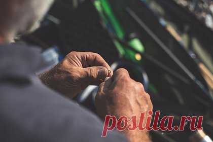 Рыбак поймал редкую щуку-мутанта. В США рыбак поймал уникальную 30-сантиметровую щуку с синей пигментацией, вызванной мутацией. По словам специалистов из местного департамента дикой природы, такой улов — это редкость. Рыбак решил сделать из уникальной рыбы чучело, чтобы сохранить ее как памятный трофей.