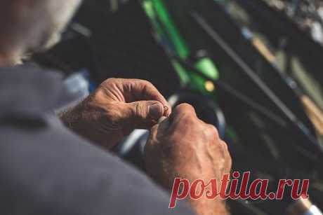 Рыбак поймал редкую щуку-мутанта. В США рыбак поймал уникальную 30-сантиметровую щуку с синей пигментацией, вызванной мутацией. По словам специалистов из местного департамента дикой природы, такой улов — это редкость. Рыбак решил сделать из уникальной рыбы чучело, чтобы сохранить ее как памятный трофей.