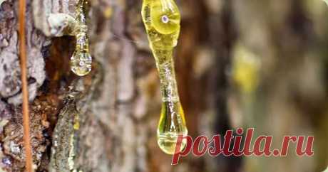 #язва#гастрит
ЛЕЧИМ ЯЗВУ ЖЕЛУДКА
БЫСТРО, БЕЗБОЛЕЗНЕННО и недорого
В наше время такие проблемы, как гастрит (умеренный или хронический), язва желудка, язва двеннадцатиперстной кишки настолько распространены, что на них практически перестали обращать внимание и считают их чуть ли не нормой. Времена изменились - пришло время вспомнить наших предков и почему они так мало страдали от данных недугов, и не потому, что они не ели жаренное, копченое и печеное. А потому что у них бы...