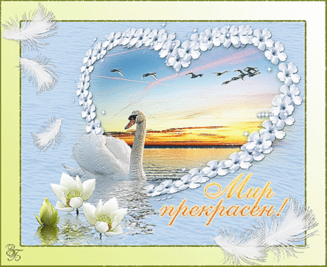Мне нравится жить от любви и тепла расцветая,
Делиться с другими, мечты исполнять и дарить,
Жалеть, согревать, не грустить, от себя отрывая,
В гармонии с Миром мне нравиться жить!