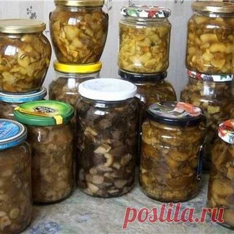 ТОП-10 заготовок из ГРИБОВ на зиму - Скатерть-Самобранка - медиаплатформа МирТесен