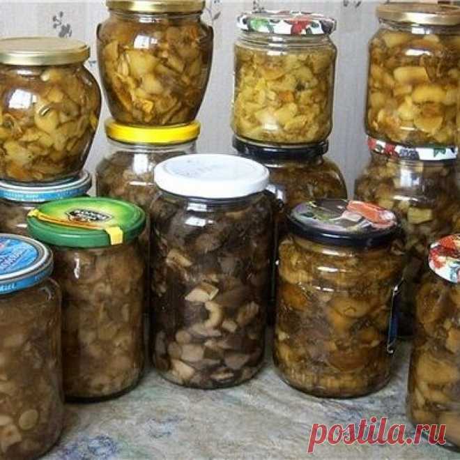 ТОП-10 заготовок из ГРИБОВ на зиму - Скатерть-Самобранка - медиаплатформа МирТесен
