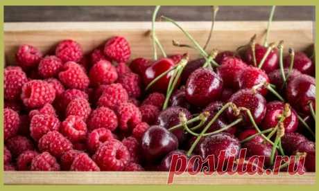 5 лучших продуктов для оздоровления печени - всего 5! введите их в каждодневное питание и результат не заставит себя ждать | Дамы, давайте худеть вместе | Дзен